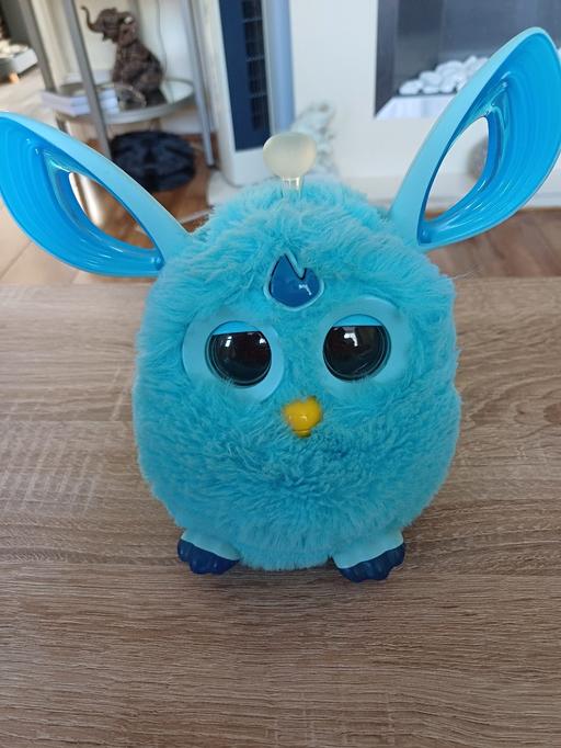 Buy & Sell Wickersley Rotherham - Photos for furby