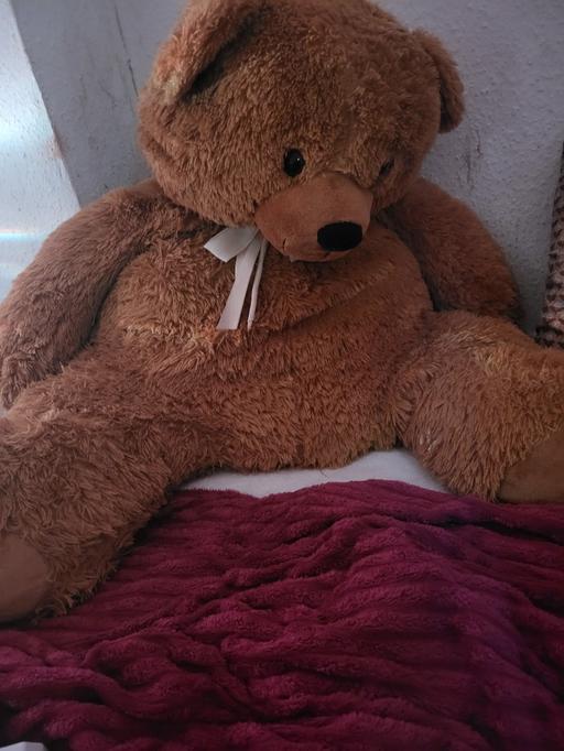 Buy & Sell Corngreaves Trading Estate Sandwell - Photos for big teddy bear