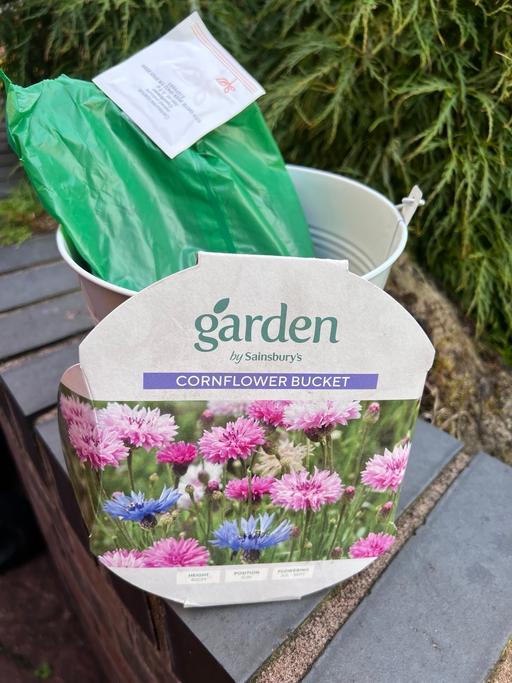 Buy & Sell Stoke on Trent City Centre Stoke-on-Trent - Photos for New condition metal bucket planter with seeds