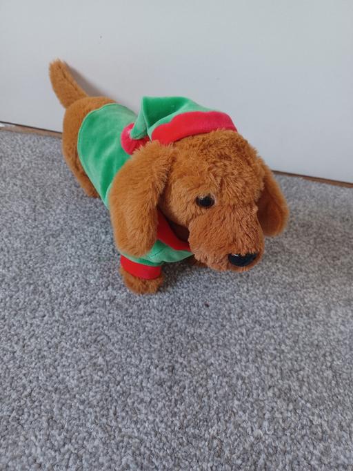 Buy & Sell Eckington North East Derbyshire - Photos for Christmas sausage dog