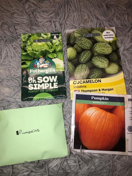 Buy & Sell Stow Heath Wolverhampton - Photos for Bundle seeds