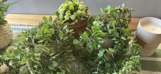 Buy & Sell Bartley Green Birmingham - Photos for Artificial plant bundle