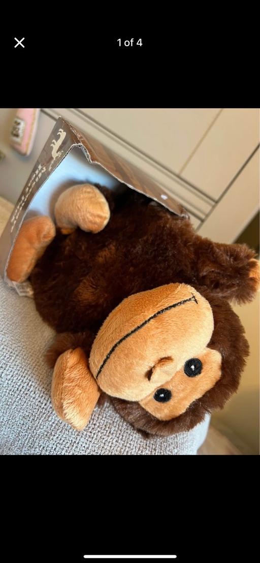 Buy & Sell Hetton-Le-Hole Sunderland - Photos for Heat Up Monkey ( New )