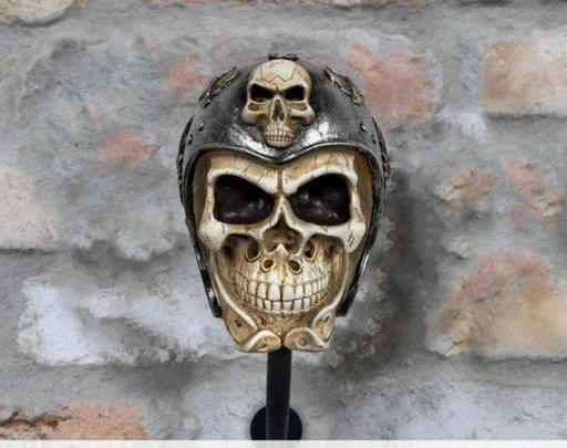 Vehicles Carrickfergus Mid and East Antrim - Photos for Skull Helmet Holder