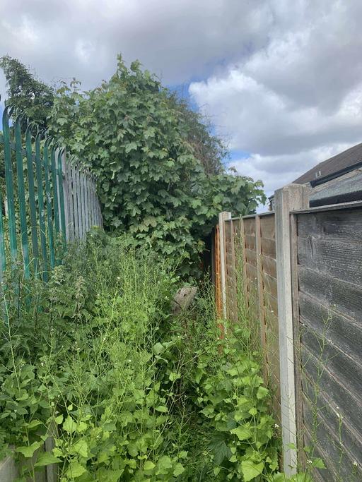 Buy & Sell Birmingham Solihull - Photos for tidy garden get in touch