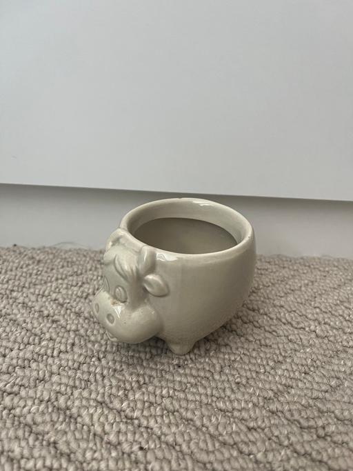 Buy & Sell Bradley Fold Bury - Photos for Mini cow planter