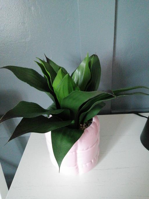 Buy & Sell Wednesfield Wolverhampton - Photos for 10 inch artifical plant in pink pot