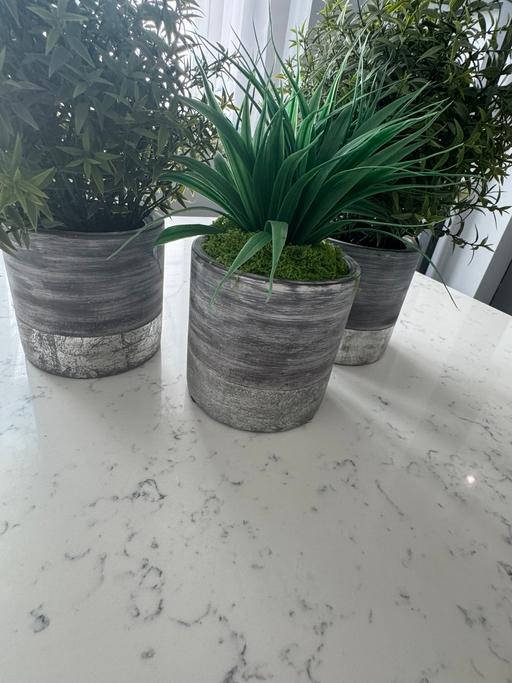 Buy & Sell Wednesbury Sandwell - Photos for Handmade ceramic flower pots with flowers x 3