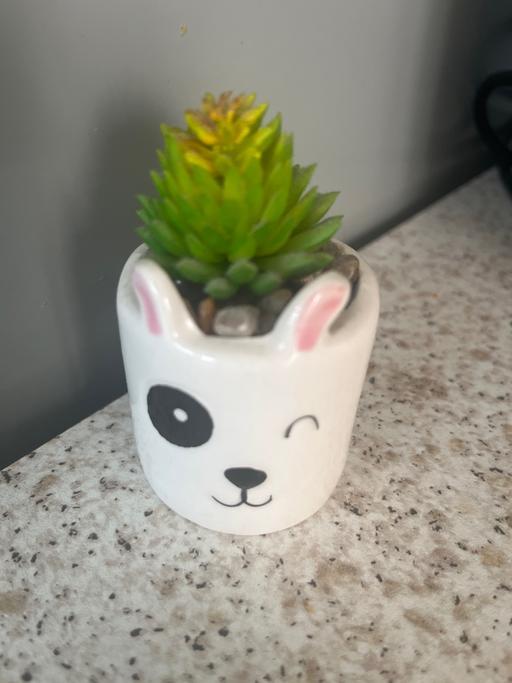 Buy & Sell Wickersley Rotherham - Photos for Miniture plant and pot