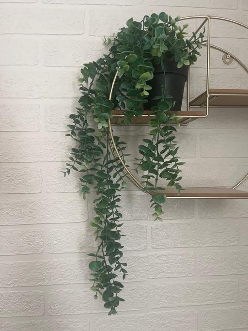 Buy & Sell Conisbrough Doncaster - Photos for Hanging plant fake in black pot