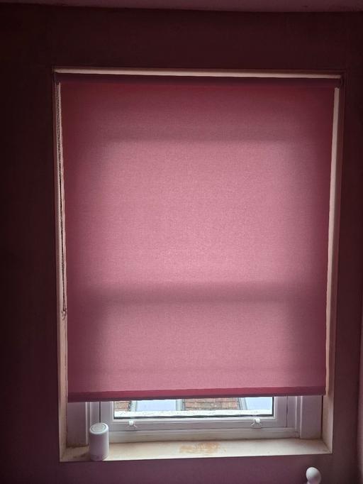 Buy & Sell Wallington Sutton - Photos for Pink no screw blinds.