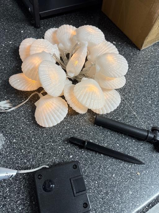 Buy & Sell Duckmanton Chesterfield - Photos for 20 solar powered seashells