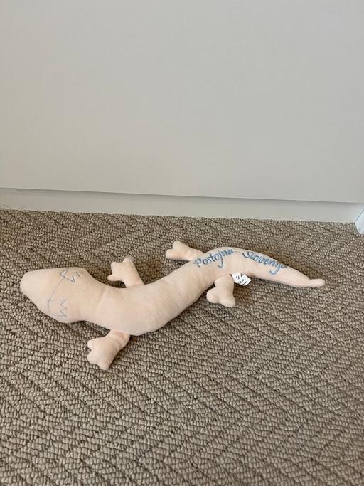 Buy & Sell Bradley Fold Bury - Photos for Lizard soft toy