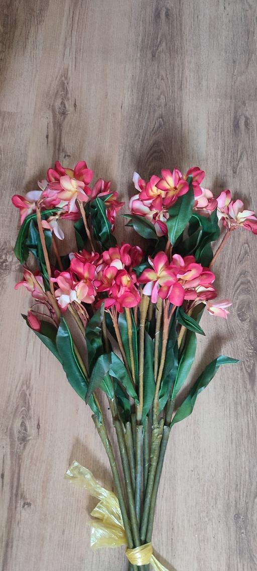 Buy & Sell Osterley South West London - Photos for Flowers