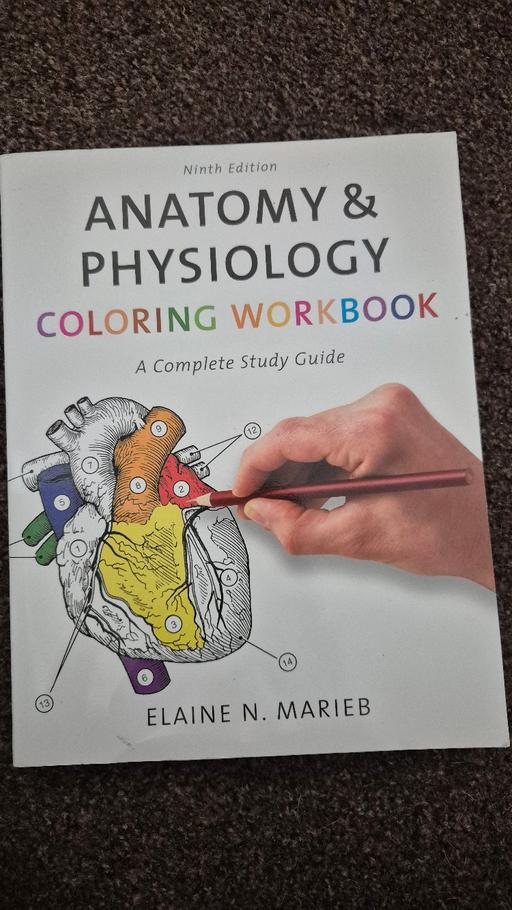 Buy & Sell East Acton West London - Photos for Anatomy & Physiology Colouring Workbook