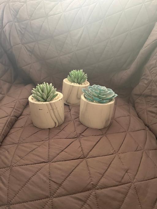 Buy & Sell Sutton Coldfield Birmingham - Photos for Fake houseplants