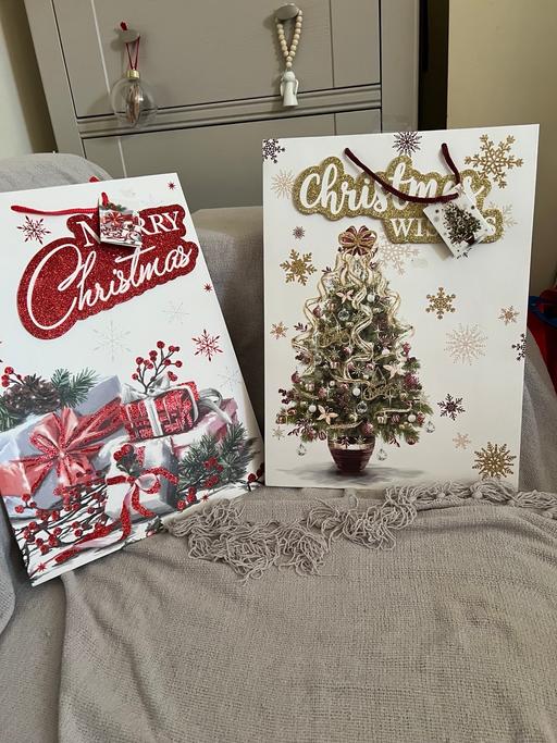 Buy & Sell Hetton-Le-Hole Sunderland - Photos for 2 Large Gift Bags ( New )