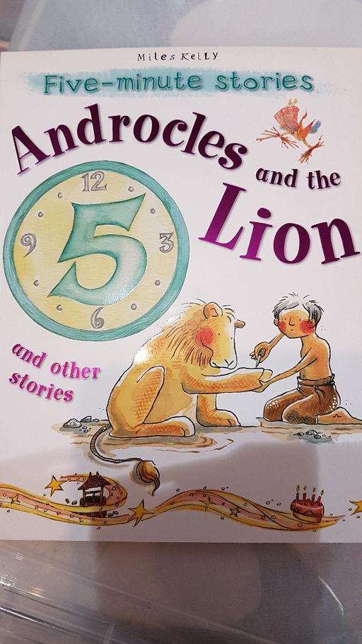 Buy & Sell Walsall Town Centre Walsall - Photos for Androcles and the lion