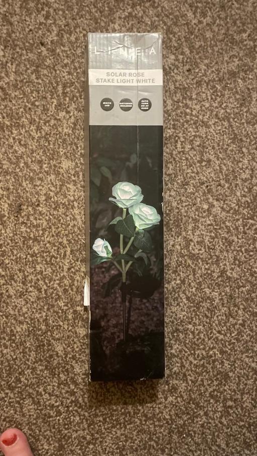 Buy & Sell Calmore New Forest - Photos for Garden rose light