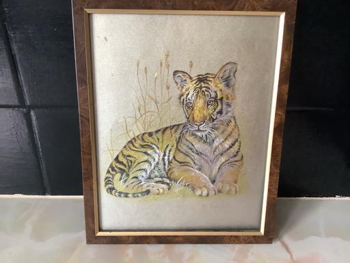 Buy & Sell Quinton Birmingham - Photos for Tiger pitcher