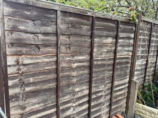 Buy & Sell Harborne Birmingham - Photos for Used French panels £10 each