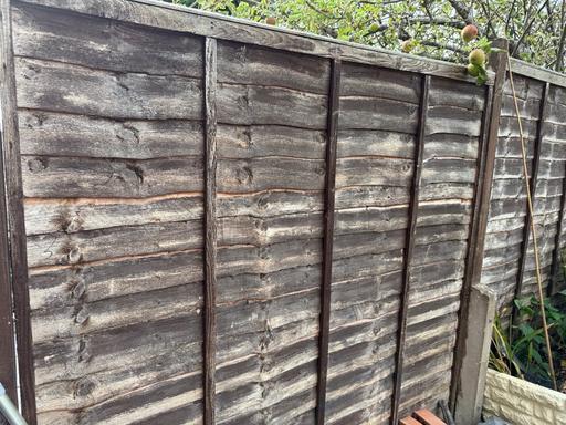 Buy & Sell Harborne Birmingham - Photos for Used fence panels