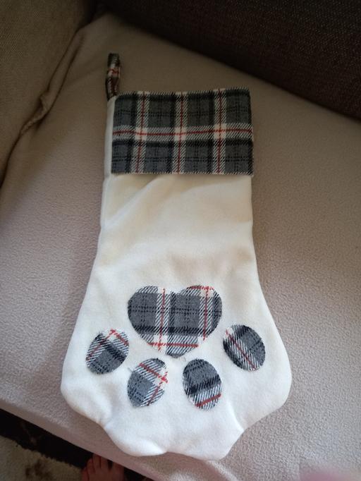 Buy & Sell Kingshurst Solihull - Photos for cat xmas stocking