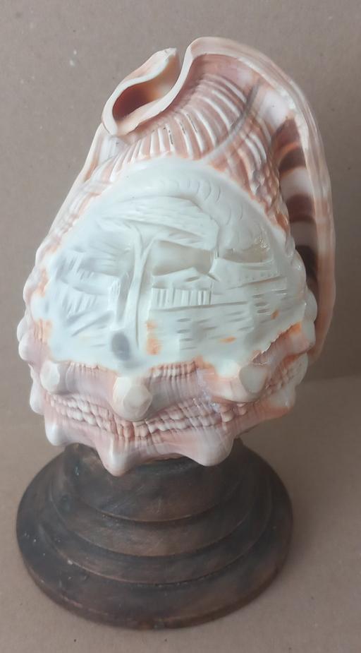 Buy & Sell Thatto Heath Saint Helens - Photos for carved cameo conch shell art sculpture