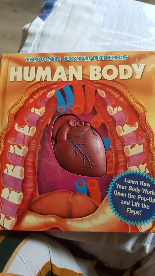 Buy & Sell Walsall Town Centre Walsall - Photos for HUMAN BODY