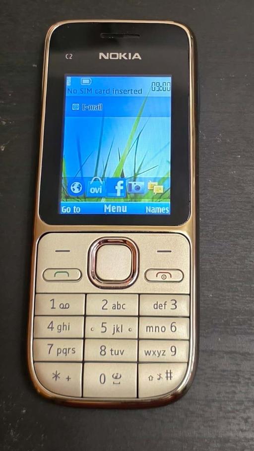 Buy & Sell Weston-Super-Mare North Somerset - Photos for Nokia C2-01 Gold Unlocked 3G