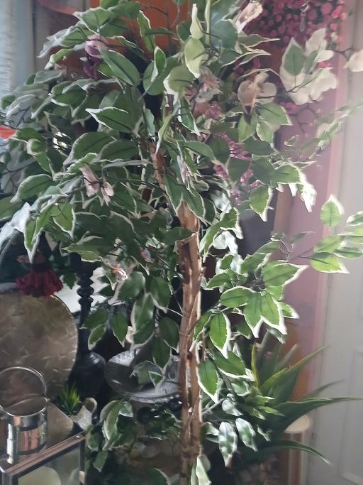 Buy & Sell Netherton Dudley - Photos for artifical.tree.7 ft high