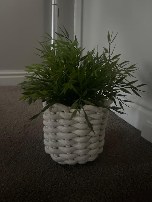 Buy & Sell Wickersley Rotherham - Photos for Fake plant in knotted pot