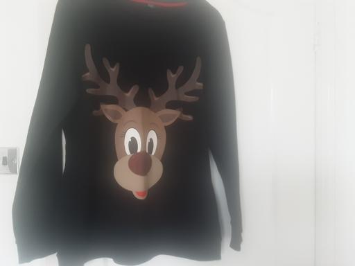 Buy & Sell Bolton-Upon-Dearne Barnsley - Photos for Ladies Christmas jumper