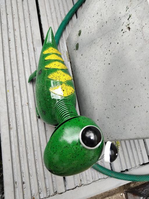 Buy & Sell Bushbury Wolverhampton - Photos for green goofasaurus