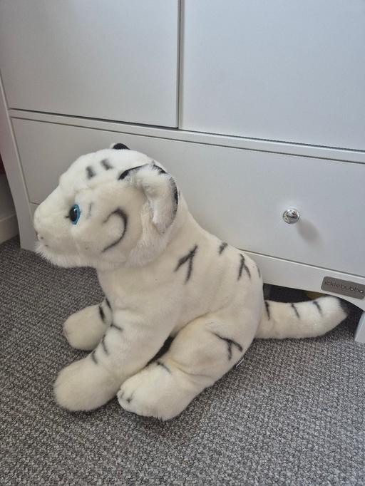 Buy & Sell Walsall West Midlands - Photos for Tiger Teddy
