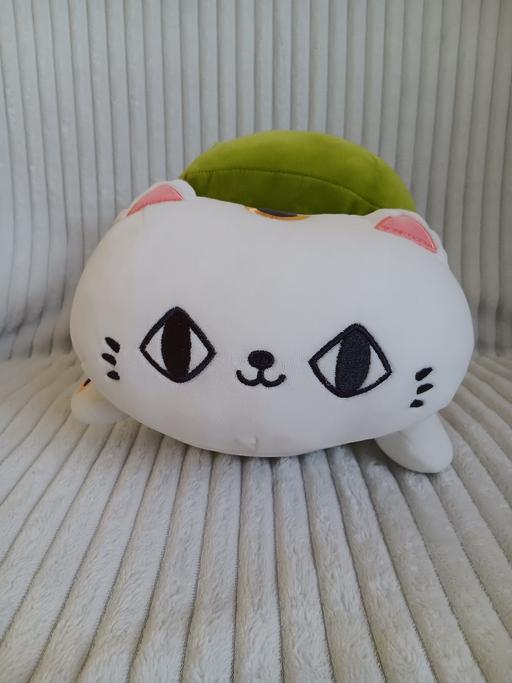 Buy & Sell Denton Burn Newcastle upon Tyne - Photos for Kenji cat