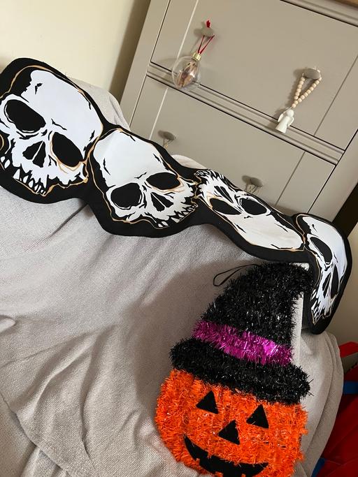 Buy & Sell Easington Lane Sunderland - Photos for Skulls Table Runner & Decoration