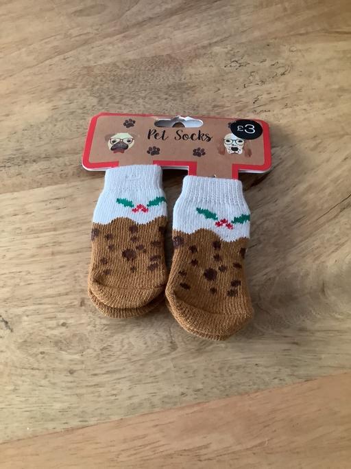 Buy & Sell Woodsetton Dudley - Photos for Pet socks