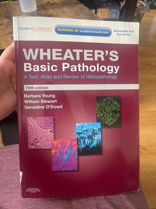 Buy & Sell Victoria Docks East London - Photos for Wheaters basic pathology fifth edition