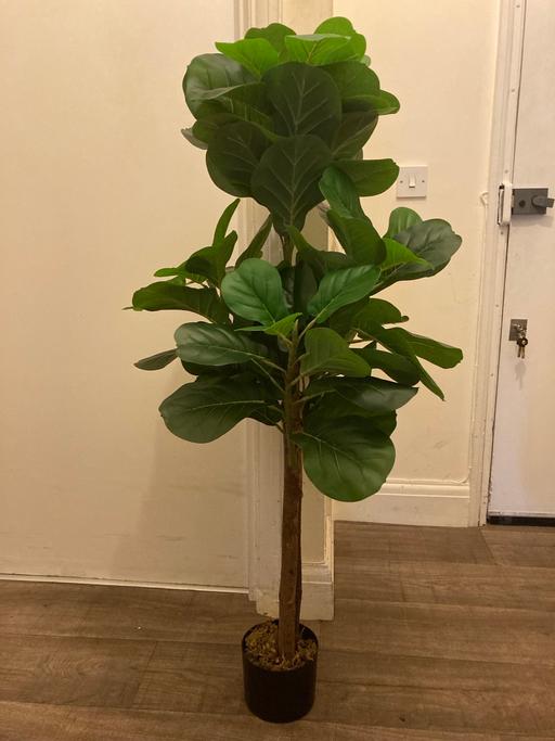 Buy & Sell West Kensington West London - Photos for Artificial Plant