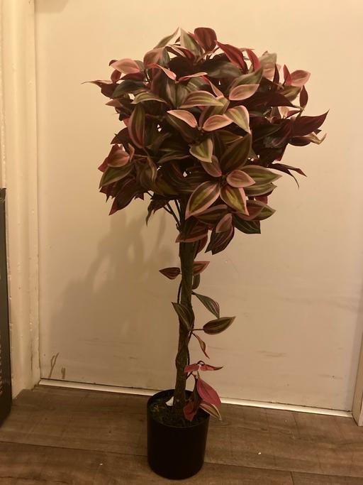 Buy & Sell West Kensington West London - Photos for Artificial Plant