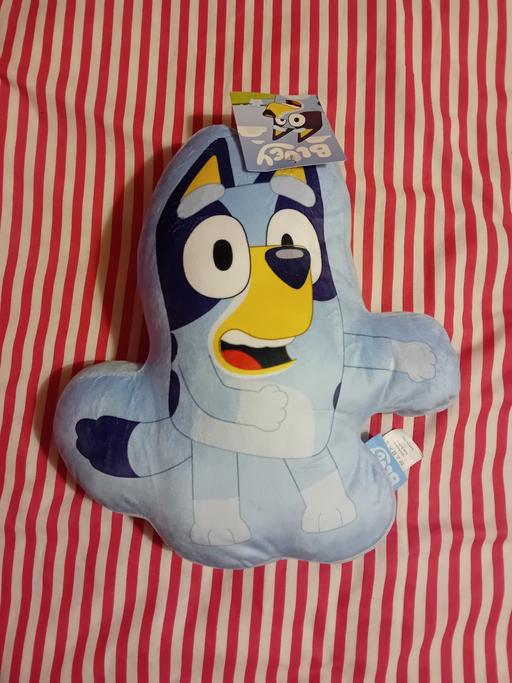 Buy & Sell Thornhill Kirklees - Photos for New bluey cushion