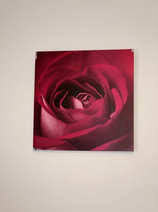 Buy & Sell Tulse Hill South East London - Photos for Rose Painting - Red/Pink undertones