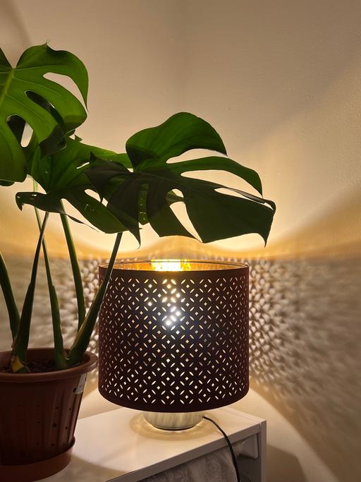 Buy & Sell Erdington Birmingham - Photos for lampshade