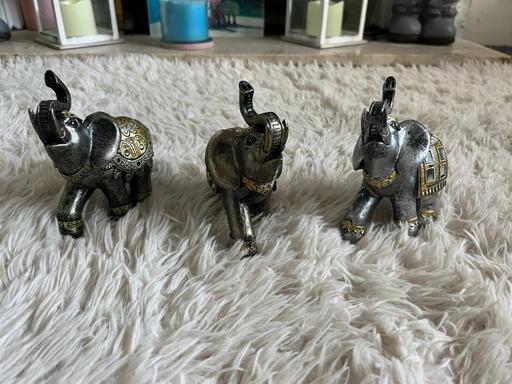 Buy & Sell Darlaston Walsall - Photos for Elephant ournaments