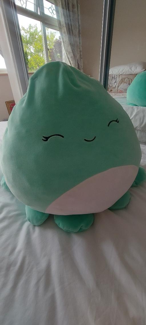 Buy & Sell Penn Wolverhampton - Photos for squishmallow