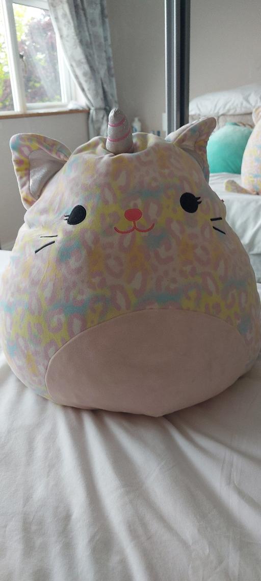Buy & Sell Goldthorn Park Wolverhampton - Photos for squishmallow
