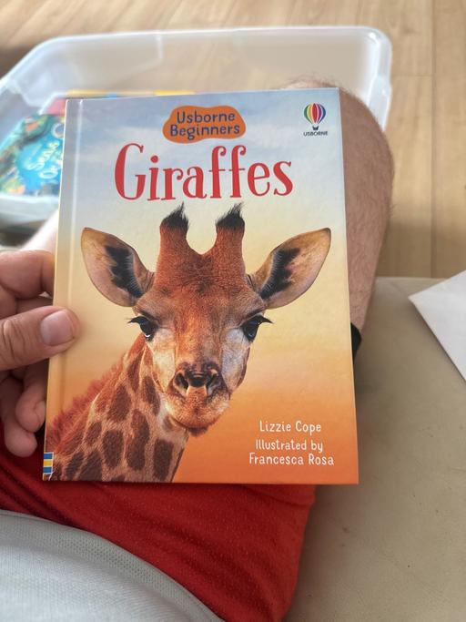 Buy & Sell Brotherton North Yorkshire - Photos for Giraffes