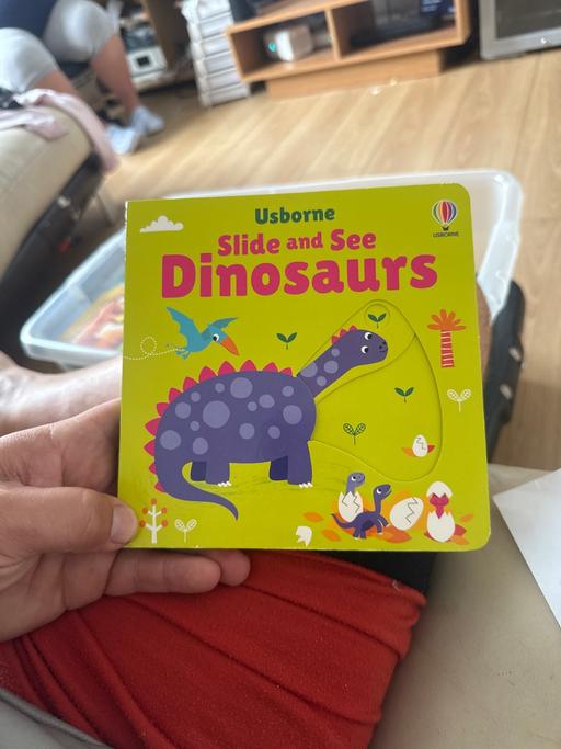 Buy & Sell Brotherton North Yorkshire - Photos for Slide and see dinosaurs
