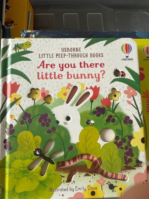 Buy & Sell Byram North Yorkshire - Photos for Are you there little bunny